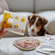 Przysmak dla psa i kota Lio PEPE mango 20 g