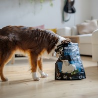 Karma sucha dla psa PAKA ZWIERZAKA jagnięcina z cukinią S 3 kg - Paka Zwierzaka Karma i Smaczki