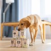 Karma mokra dla psa PAKA ZWIERZAKA królik i dzik z dynią 400 g - Paka Zwierzaka Karma i Smaczki