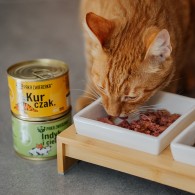 Karma mokra dla kota PAKA ZWIERZAKA kurczak 200 g - Paka Zwierzaka Karma i Smaczki