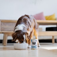 Karma mokra dla psa PEPE lamb 99% jagnięcina 400 g - Paka Zwierzaka Karma i Smaczki