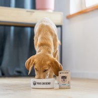 Karma mokra dla psa PAKA ZWIERZAKA dziczyzna i łosoś 400 g