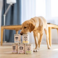 Karma mokra dla psa PAKA ZWIERZAKA dziczyzna i łosoś 400 g