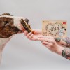 Gryzak dla psa PAKA ZWIERZAKA SUSZKI żwacz wołowy 100 g - Paka Zwierzaka Karma i Smaczki