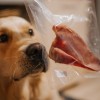Gryzak dla psa PAKA ZWIERZAKA SUSZKI ucho wieprzowe 1 szt. - Paka Zwierzaka Karma i Smaczki