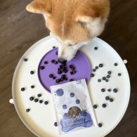 Przysmak dla psa i kota Lio PEPE blueberry borówka 15 g