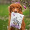 Przysmak dla psa i kota Lio PEPE rabbit XL królicza wątróbka 180 g