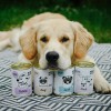 Karma mokra dla psa PEPE rabbit 99% królik 400 g - Paka Zwierzaka Karma i Smaczki