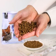 Wiejska Zagroda Karma sucha dla kota po sterylizacji Kurczak z przepiórką (dorosły) 800g