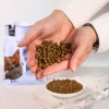 Wiejska Zagroda Karma sucha dla kota po sterylizacji Kurczak z przepiórką (dorosły) 3kg