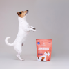 Karma tłoczona na zimno PERRO Gourmet Jagnięcina – formuła dla psów dorosłych średnich i dużych ras 1kg