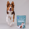 Karma tłoczona na zimno PERRO Gourmet Dziczyzna – formuła dla psów dorosłych średnich i dużych ras 1kg