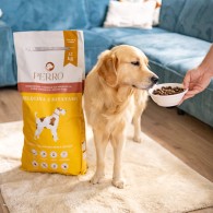 Karma sucha Cielęcina z batatami – bezzbożowa formuła dla psów dorosłych średnich i dużych ras 1kg
