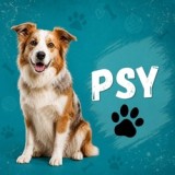 Psy