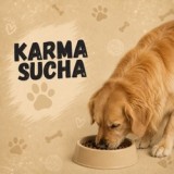 Karma sucha dla psa