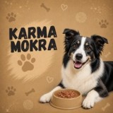 Karma mokra dla psa