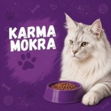 Karma mokra dla kota