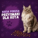 Przysmaki dla kota