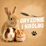 Gryzonie i małe zwierzęta