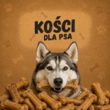Kości