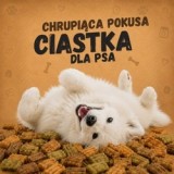 Ciastka