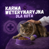 Karma weterynaryjna dla kota